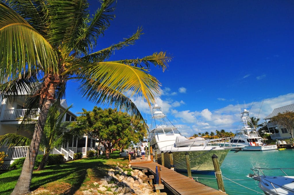 Picture of Hawks Cay Villa With Dock