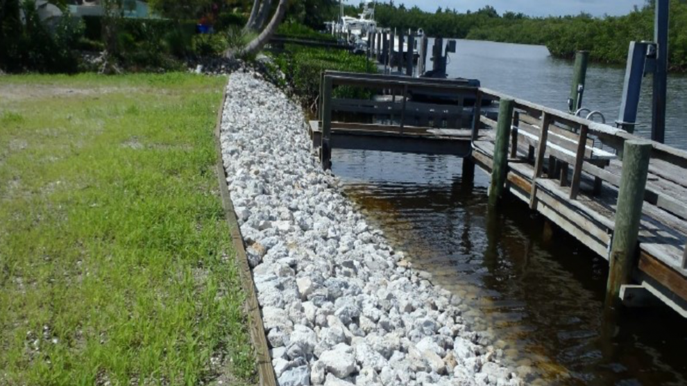 Gordon Drive Residential Mangrove Removal Gordon Drive Residential Mangrove Removal