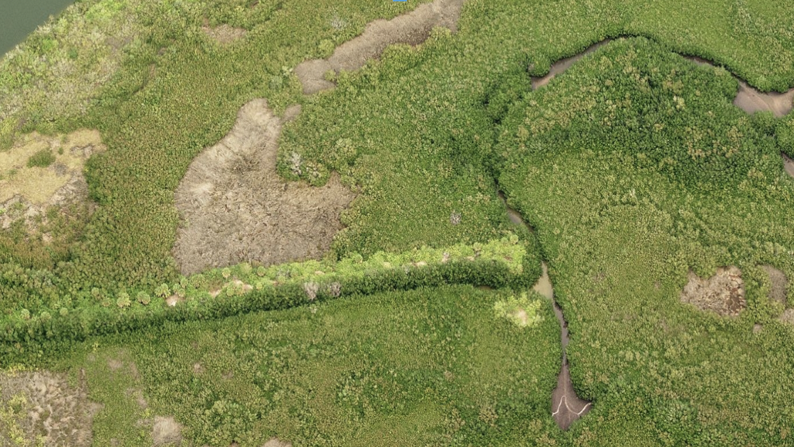 South Gulf Cove/Butterford Breach Feasibility Study and Repair